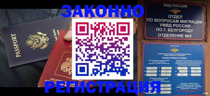прописка законно в Хадыженске
